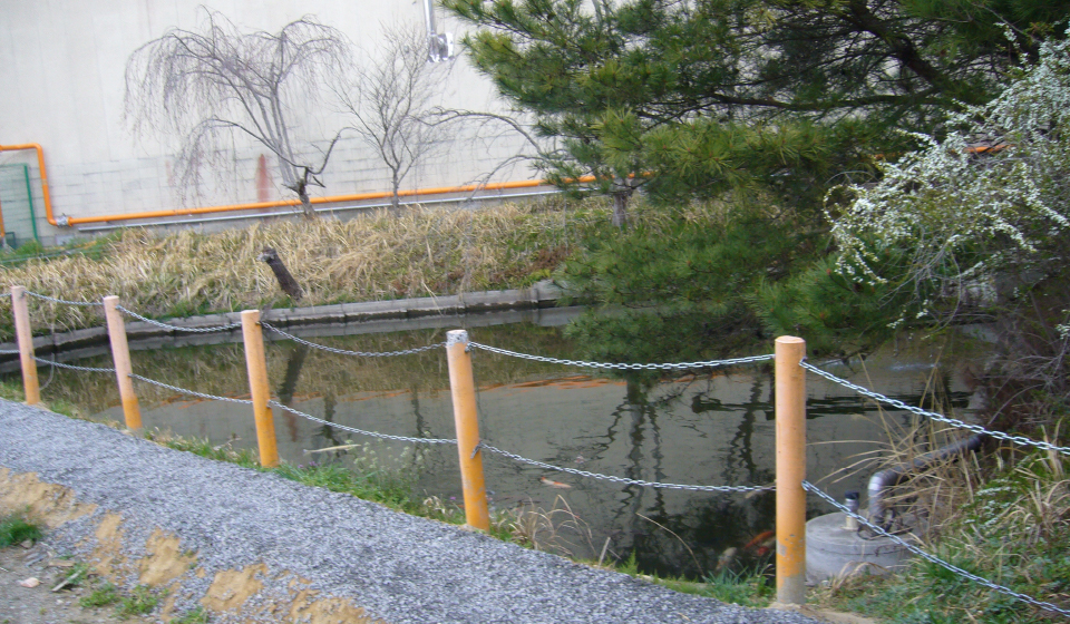 雨水の活用